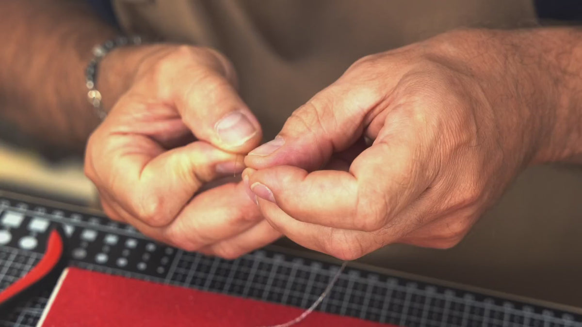 Carica video: 
